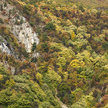 Amazing Autumn ladscape with  forest around Krichim Reservoir, Rhodopes Mountain, Bulgaria