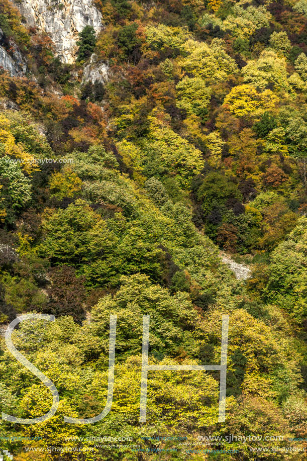 Amazing Autumn ladscape with  forest around Krichim Reservoir, Rhodopes Mountain, Bulgaria