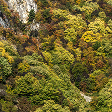 Amazing Autumn ladscape with  forest around Krichim Reservoir, Rhodopes Mountain, Bulgaria