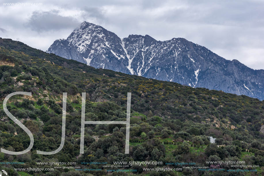 Landscape of Mount Athos in Autonomous Monastic State of the Holy Mountain, Chalkidiki, Greece