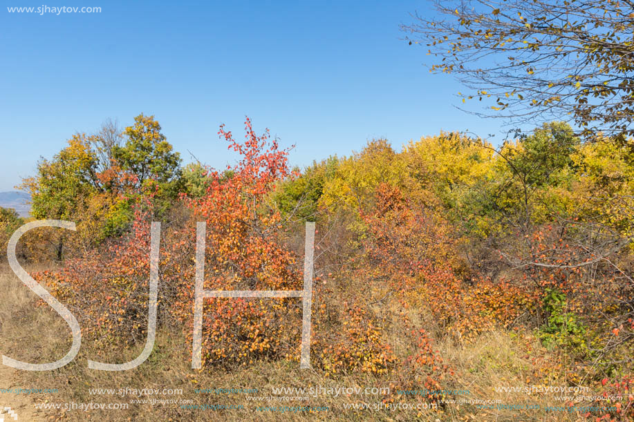 Amazing Autumn landscape of Cherna Gora (Monte Negro) mountain, Pernik Region, Bulgaria