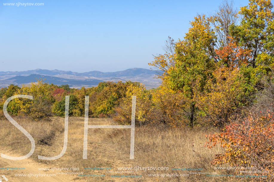 Amazing Autumn landscape of Cherna Gora (Monte Negro) mountain, Pernik Region, Bulgaria