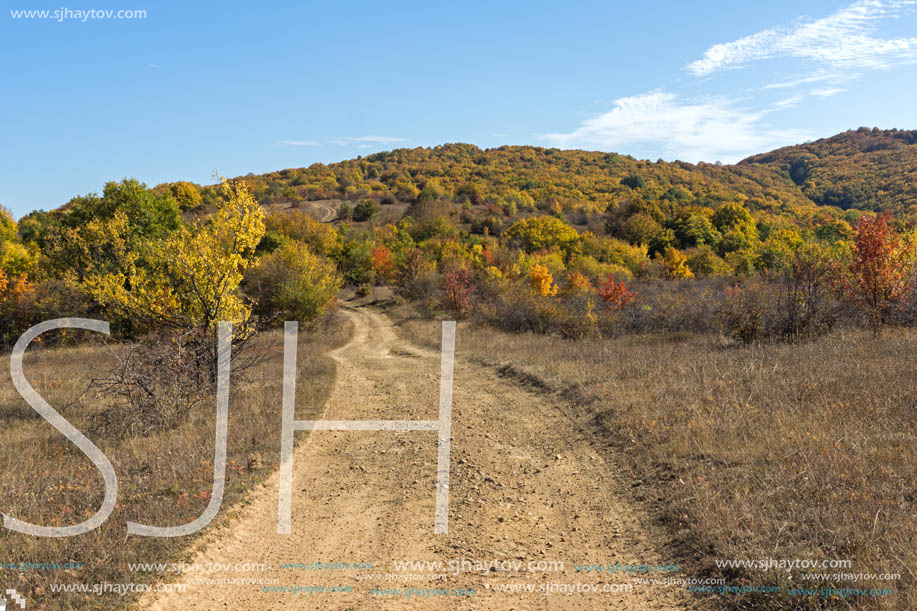 Amazing Autumn landscape of Cherna Gora (Monte Negro) mountain, Pernik Region, Bulgaria