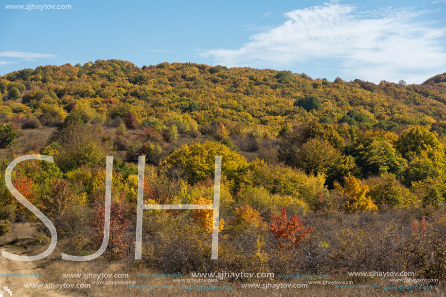 Amazing Autumn landscape of Cherna Gora (Monte Negro) mountain, Pernik Region, Bulgaria