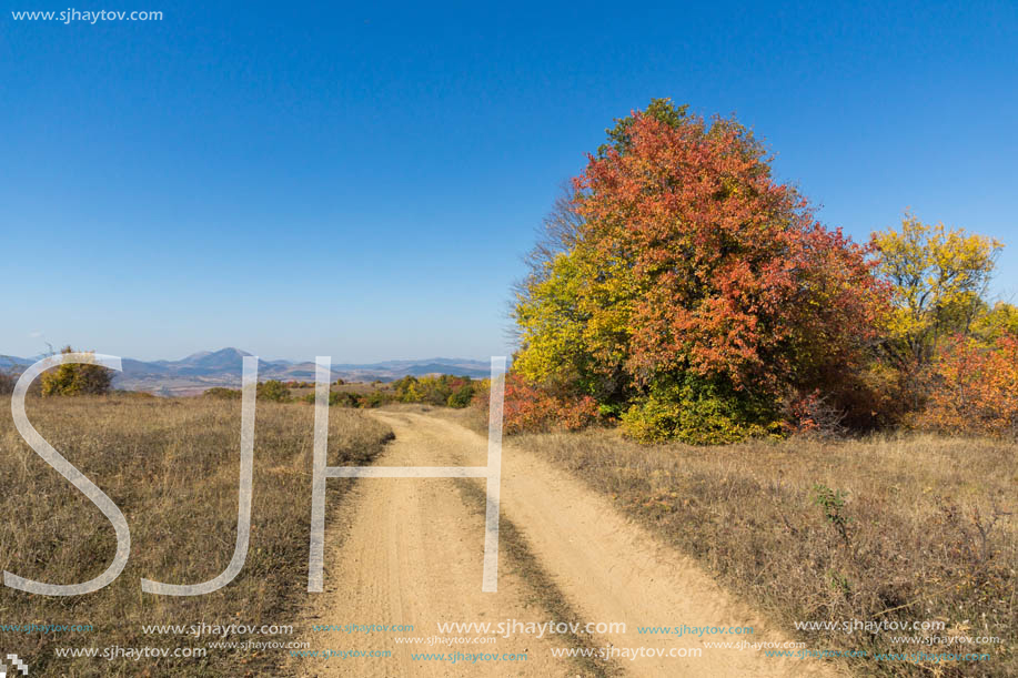 Amazing Autumn landscape of Cherna Gora (Monte Negro) mountain, Pernik Region, Bulgaria