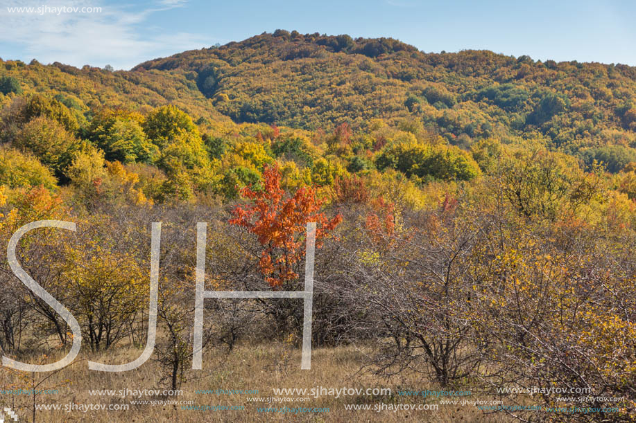 Amazing Autumn landscape of Cherna Gora (Monte Negro) mountain, Pernik Region, Bulgaria