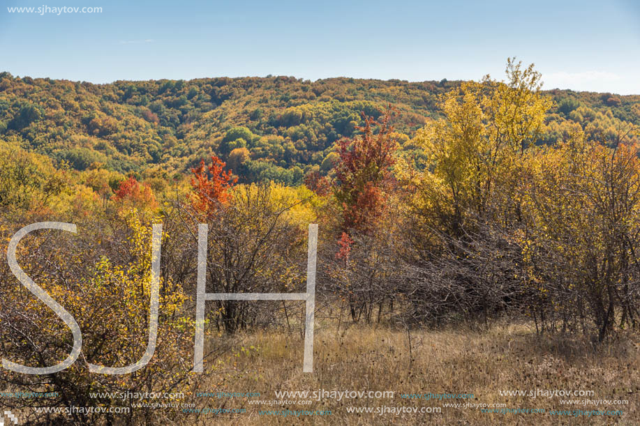 Amazing Autumn landscape of Cherna Gora (Monte Negro) mountain, Pernik Region, Bulgaria