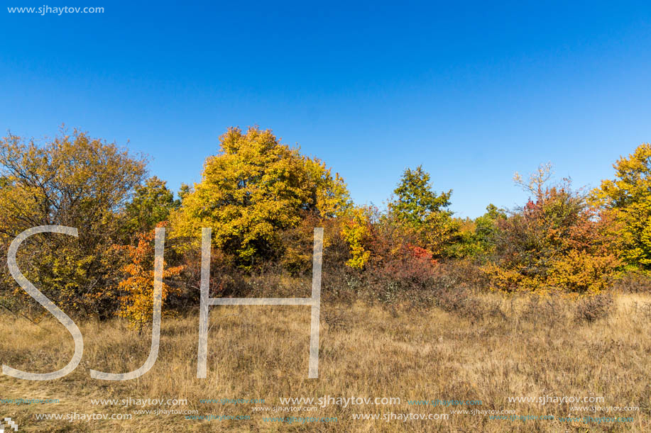 Amazing Autumn landscape of Cherna Gora (Monte Negro) mountain, Pernik Region, Bulgaria