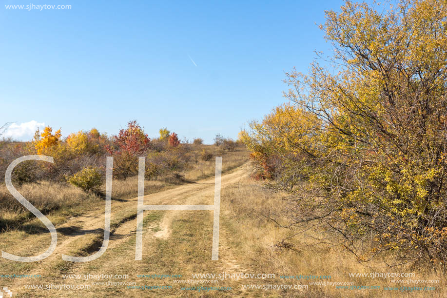 Amazing Autumn landscape of Cherna Gora (Monte Negro) mountain, Pernik Region, Bulgaria