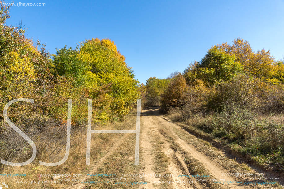 Amazing Autumn landscape of Cherna Gora (Monte Negro) mountain, Pernik Region, Bulgaria