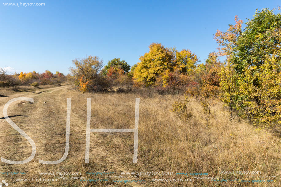 Amazing Autumn landscape of Cherna Gora (Monte Negro) mountain, Pernik Region, Bulgaria