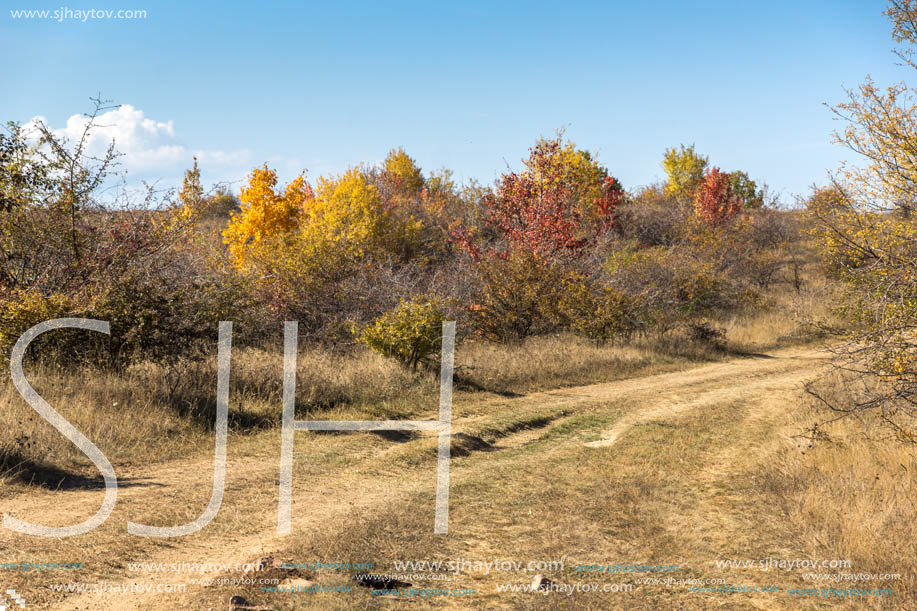 Amazing Autumn landscape of Cherna Gora (Monte Negro) mountain, Pernik Region, Bulgaria