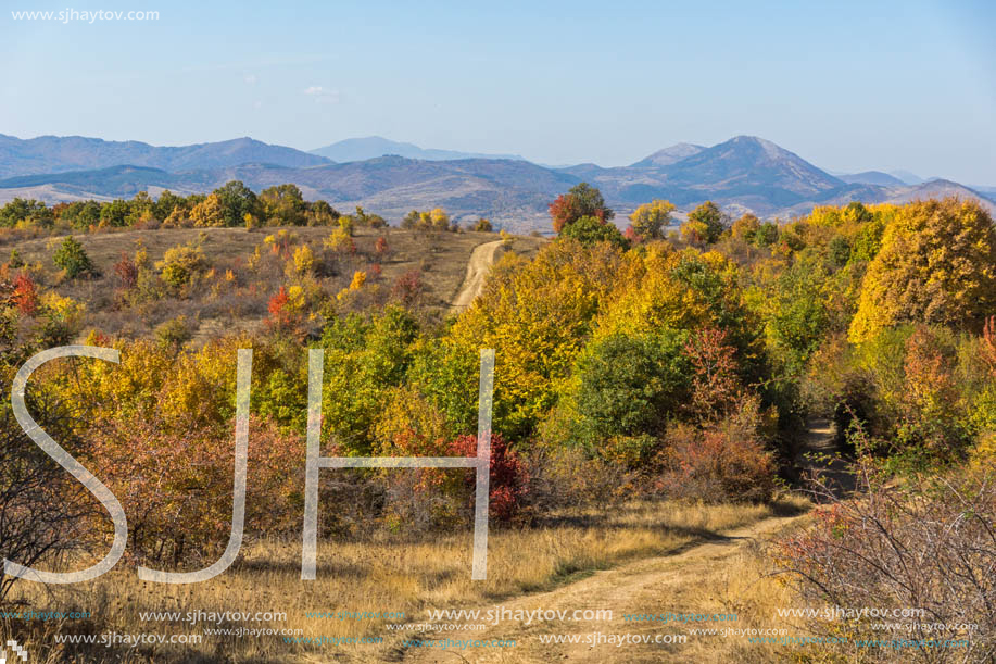 Amazing Autumn landscape of Cherna Gora (Monte Negro) mountain, Pernik Region, Bulgaria