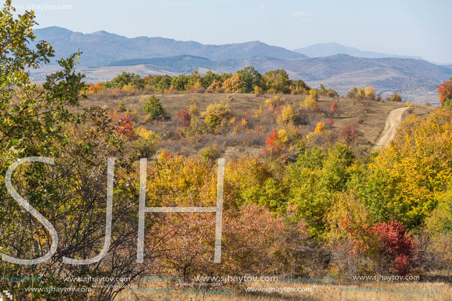 Amazing Autumn landscape of Cherna Gora (Monte Negro) mountain, Pernik Region, Bulgaria