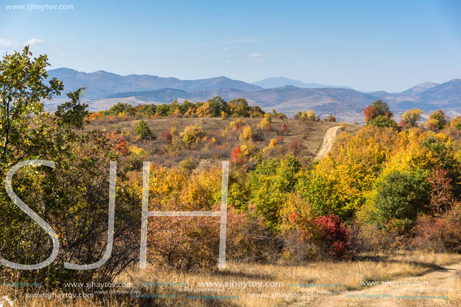 Amazing Autumn landscape of Cherna Gora (Monte Negro) mountain, Pernik Region, Bulgaria