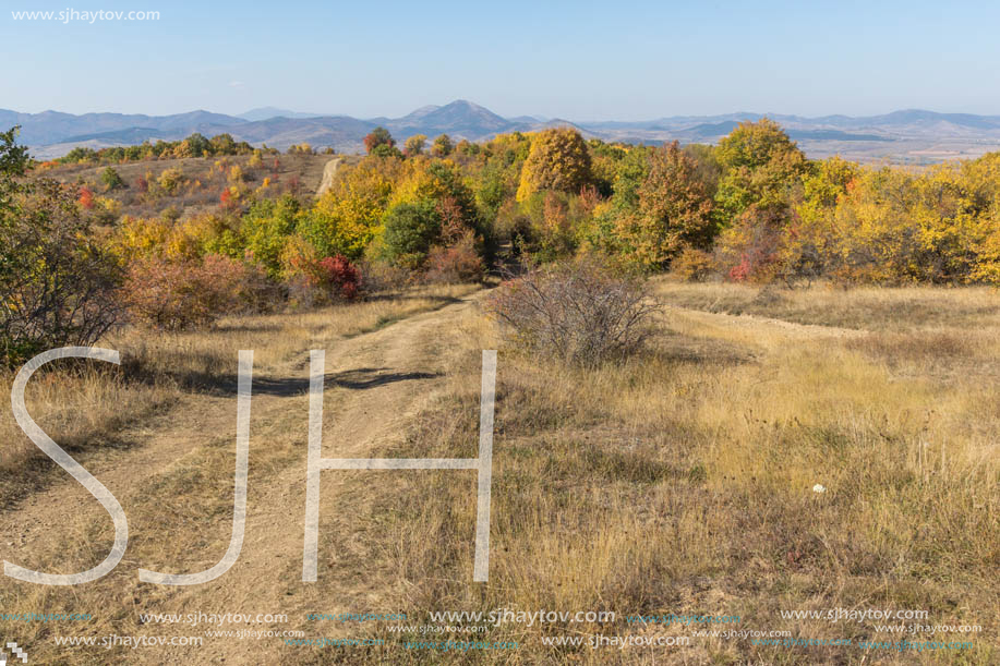 Amazing Autumn landscape of Cherna Gora (Monte Negro) mountain, Pernik Region, Bulgaria