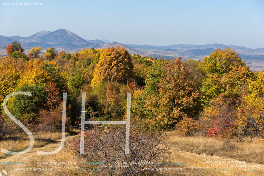 Amazing Autumn landscape of Cherna Gora (Monte Negro) mountain, Pernik Region, Bulgaria