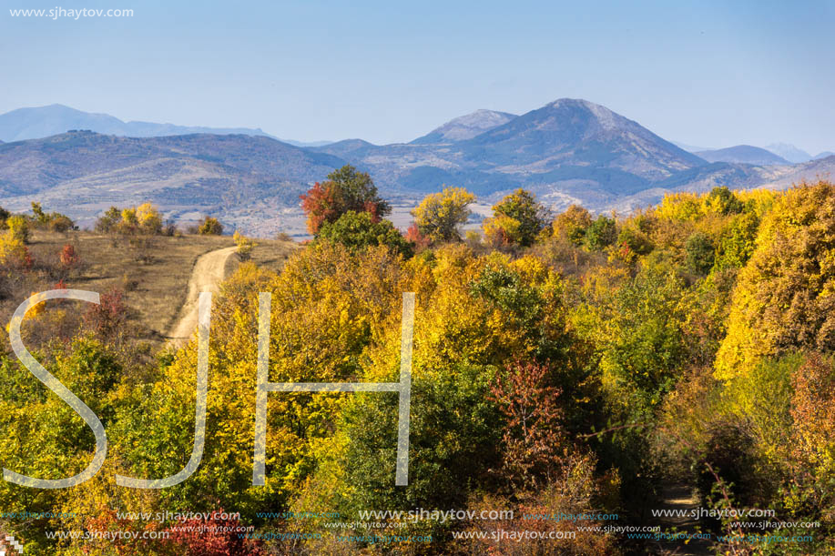 Amazing Autumn landscape of Cherna Gora (Monte Negro) mountain, Pernik Region, Bulgaria