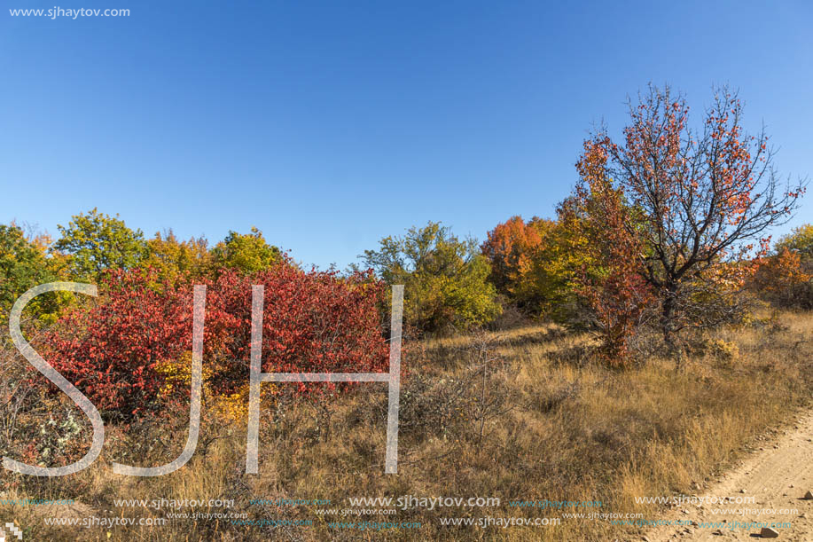 Amazing Autumn landscape of Cherna Gora (Monte Negro) mountain, Pernik Region, Bulgaria