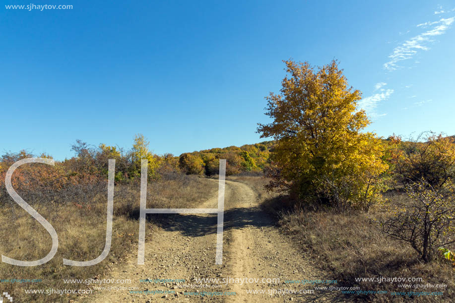 Amazing Autumn landscape of Cherna Gora (Monte Negro) mountain, Pernik Region, Bulgaria