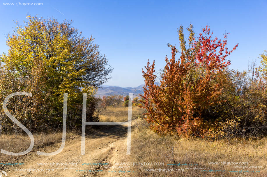 Amazing Autumn landscape of Cherna Gora (Monte Negro) mountain, Pernik Region, Bulgaria