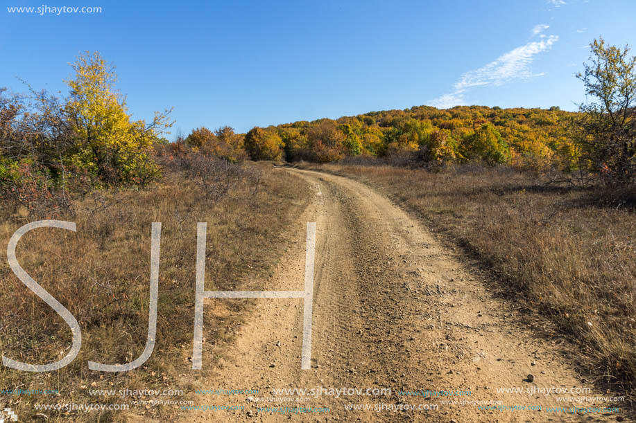 Amazing Autumn landscape of Cherna Gora (Monte Negro) mountain, Pernik Region, Bulgaria