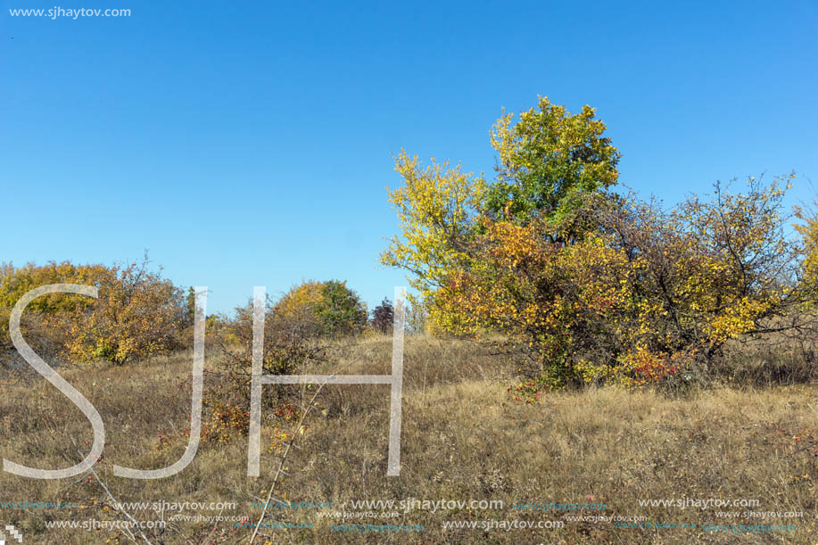 Amazing Autumn landscape of Cherna Gora (Monte Negro) mountain, Pernik Region, Bulgaria