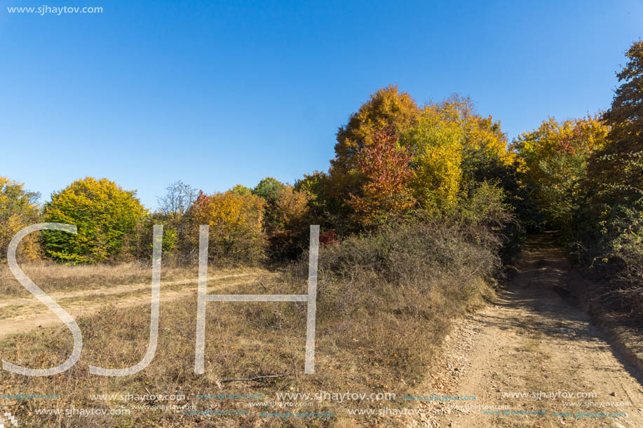 Amazing Autumn landscape of Cherna Gora (Monte Negro) mountain, Pernik Region, Bulgaria