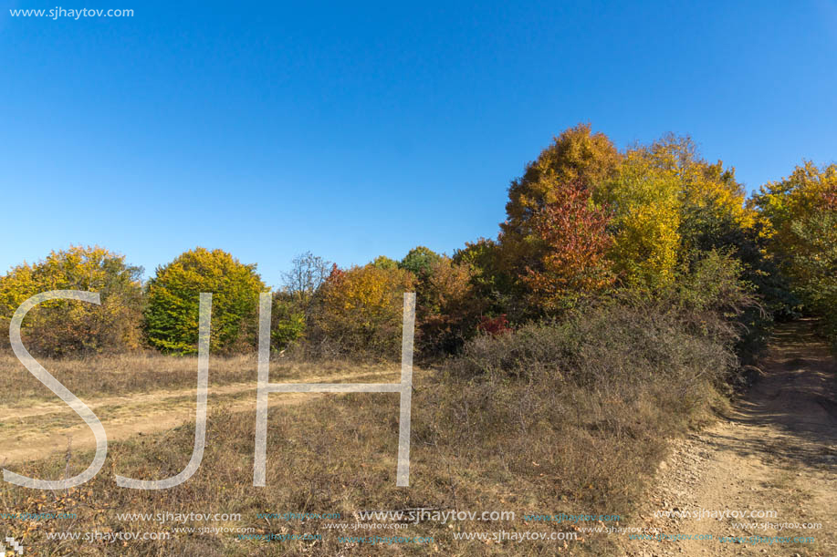 Amazing Autumn landscape of Cherna Gora (Monte Negro) mountain, Pernik Region, Bulgaria