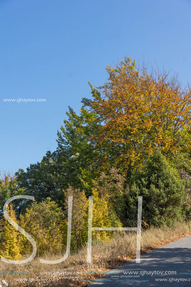 Autumn landscape of Ruen Mountain - northern part of Vlahina Mountain, Kyustendil Region, Bulgaria