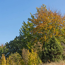 Autumn landscape of Ruen Mountain - northern part of Vlahina Mountain, Kyustendil Region, Bulgaria