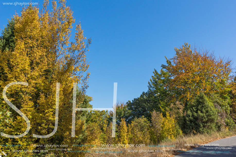 Autumn landscape of Ruen Mountain - northern part of Vlahina Mountain, Kyustendil Region, Bulgaria