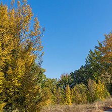 Autumn landscape of Ruen Mountain - northern part of Vlahina Mountain, Kyustendil Region, Bulgaria