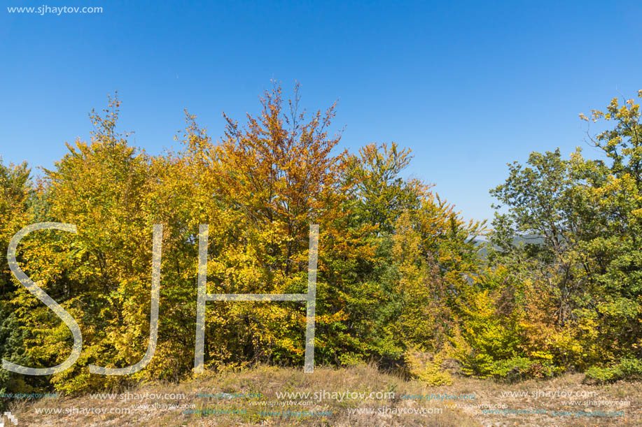 Autumn landscape of Ruen Mountain - northern part of Vlahina Mountain, Kyustendil Region, Bulgaria