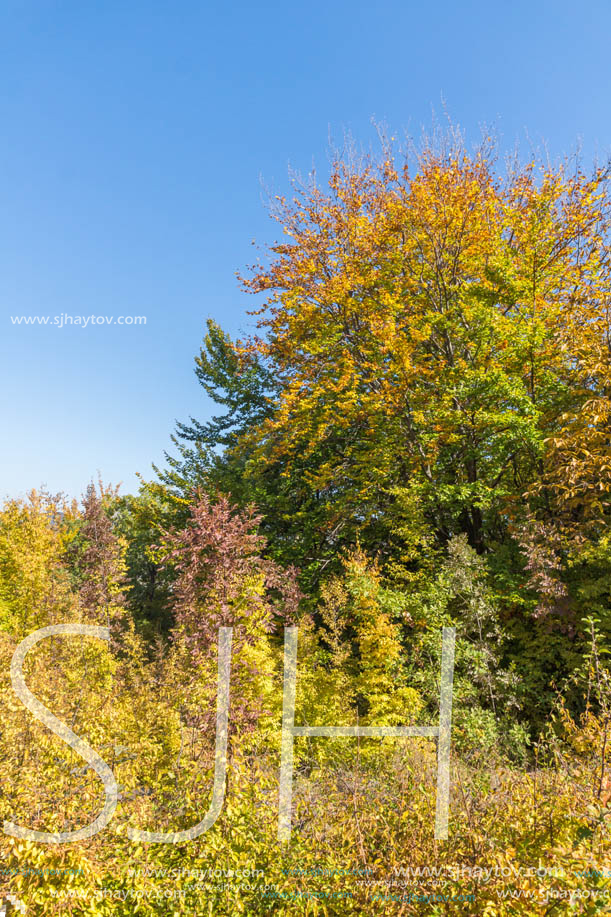 Autumn landscape of Ruen Mountain - northern part of Vlahina Mountain, Kyustendil Region, Bulgaria