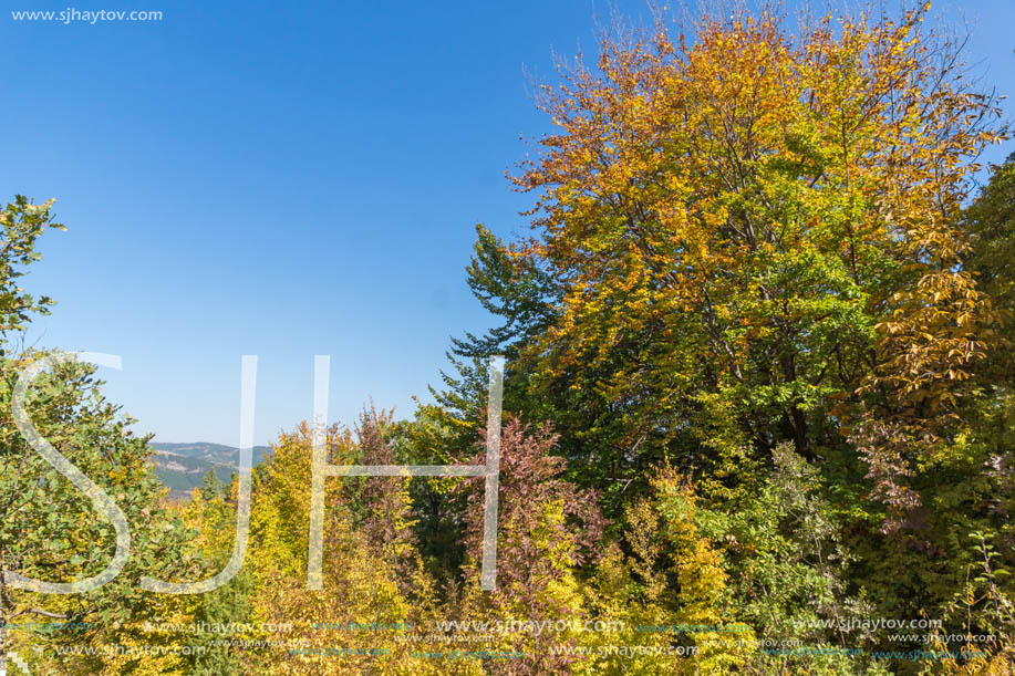 Autumn landscape of Ruen Mountain - northern part of Vlahina Mountain, Kyustendil Region, Bulgaria