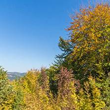 Autumn landscape of Ruen Mountain - northern part of Vlahina Mountain, Kyustendil Region, Bulgaria