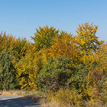 Autumn landscape of Ruen Mountain - northern part of Vlahina Mountain, Kyustendil Region, Bulgaria