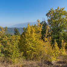 Autumn landscape of Ruen Mountain - northern part of Vlahina Mountain, Kyustendil Region, Bulgaria