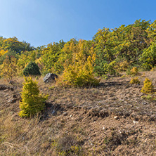 Autumn landscape of Ruen Mountain - northern part of Vlahina Mountain, Kyustendil Region, Bulgaria