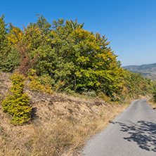 Autumn landscape of Ruen Mountain - northern part of Vlahina Mountain, Kyustendil Region, Bulgaria