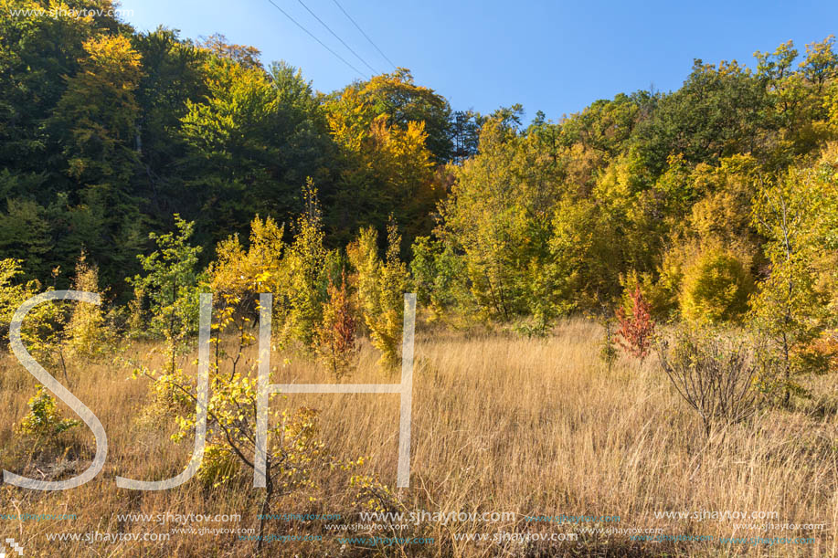 Autumn landscape of Ruen Mountain - northern part of Vlahina Mountain, Kyustendil Region, Bulgaria