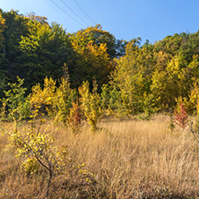 Autumn landscape of Ruen Mountain - northern part of Vlahina Mountain, Kyustendil Region, Bulgaria