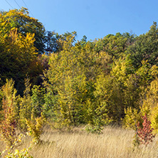 Autumn landscape of Ruen Mountain - northern part of Vlahina Mountain, Kyustendil Region, Bulgaria