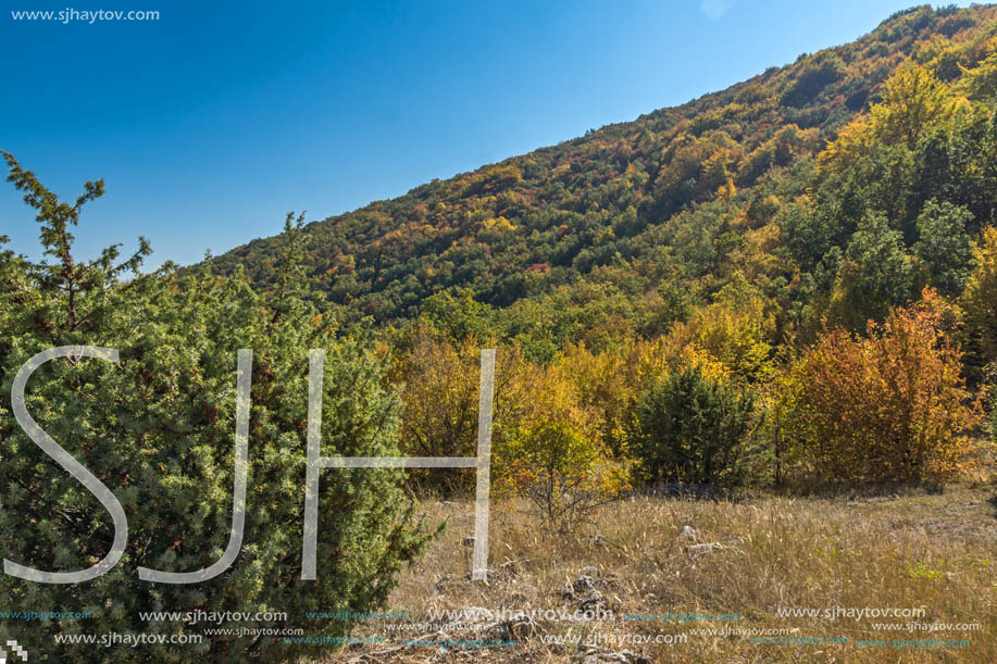 Autumn landscape of Ruen Mountain - northern part of Vlahina Mountain, Kyustendil Region, Bulgaria