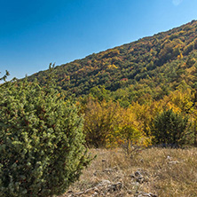 Autumn landscape of Ruen Mountain - northern part of Vlahina Mountain, Kyustendil Region, Bulgaria