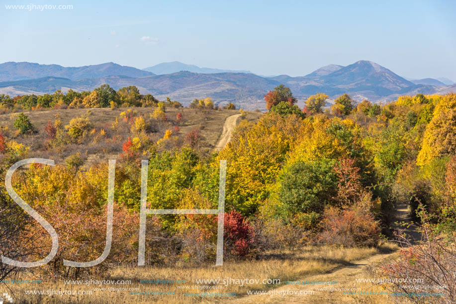 Amazing Autumn Panorama of Cherna Gora (Monte Negro) mountain, Pernik Region, Bulgaria