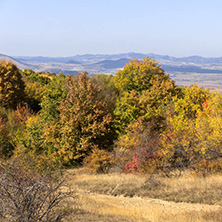 Amazing Autumn Panorama of Cherna Gora (Monte Negro) mountain, Pernik Region, Bulgaria