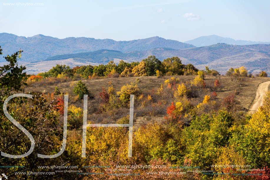 Amazing Autumn Panorama of Cherna Gora (Monte Negro) mountain, Pernik Region, Bulgaria