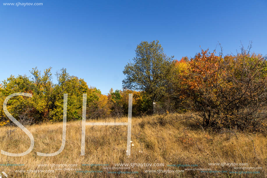 Amazing Autumn Panorama of Cherna Gora (Monte Negro) mountain, Pernik Region, Bulgaria